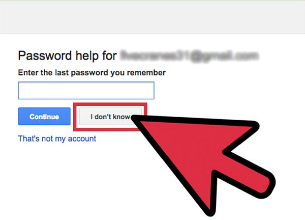 Reset Email Password